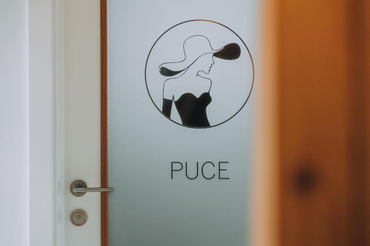 Apartment Carolija Slakovec Eksteriør bilde